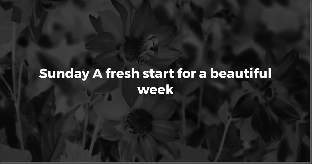 Sunday Spark: Positive Quotes to Inspire Your Week