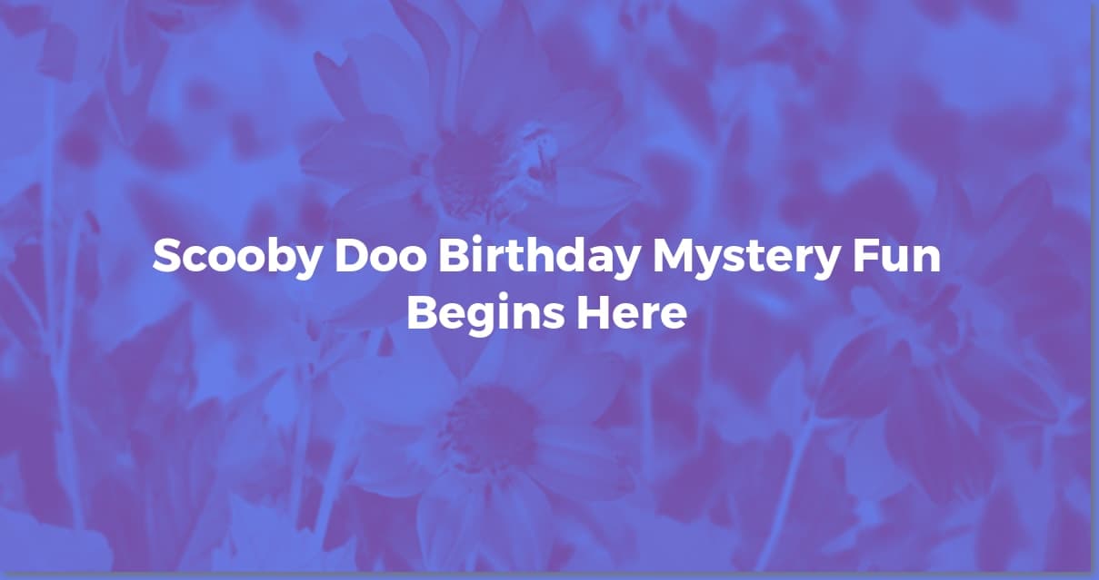 Scooby Doo Birthday Bash: DIY Decorations on a Budget!