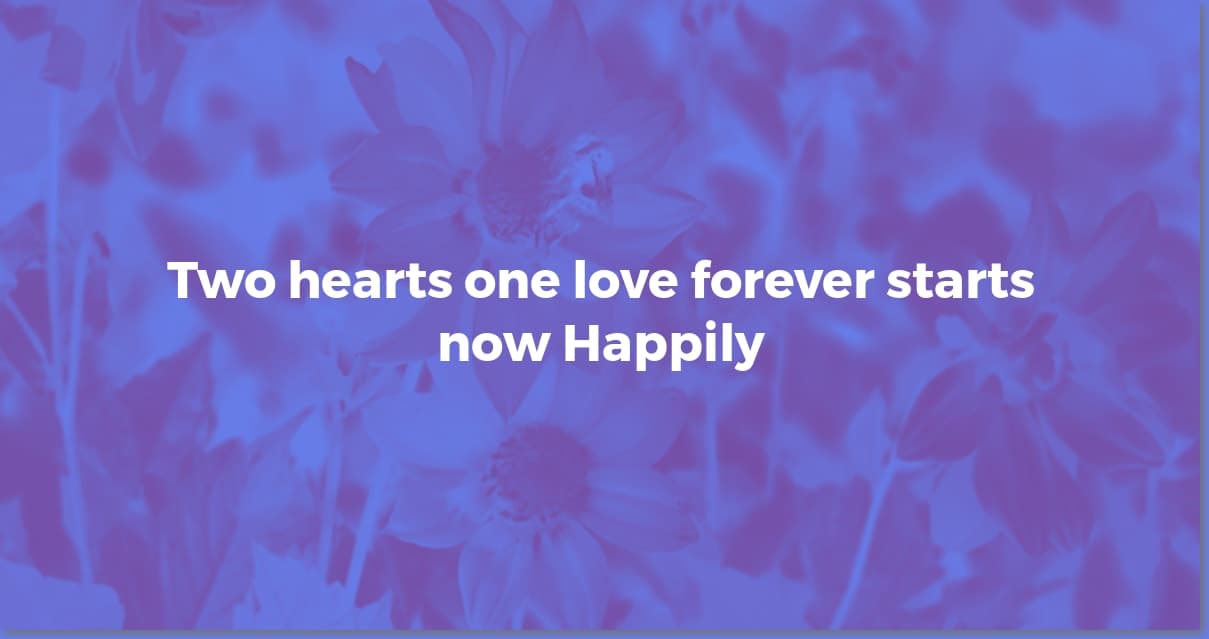 Short & Sweet: Perfect Wedding Wishes in a Few Words