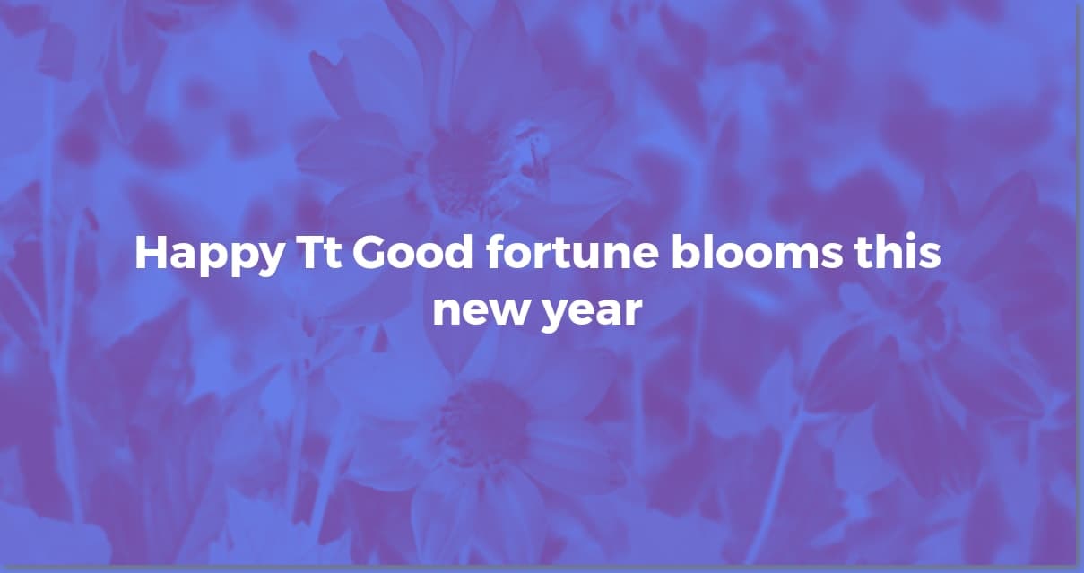 Happy Tet! Heartfelt Vietnamese New Year Wishes