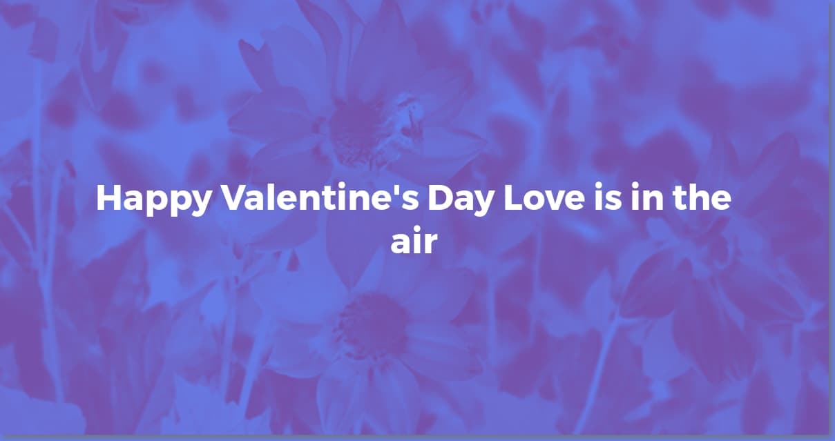Valentine's Day Wishes: The Perfect Message Awaits!