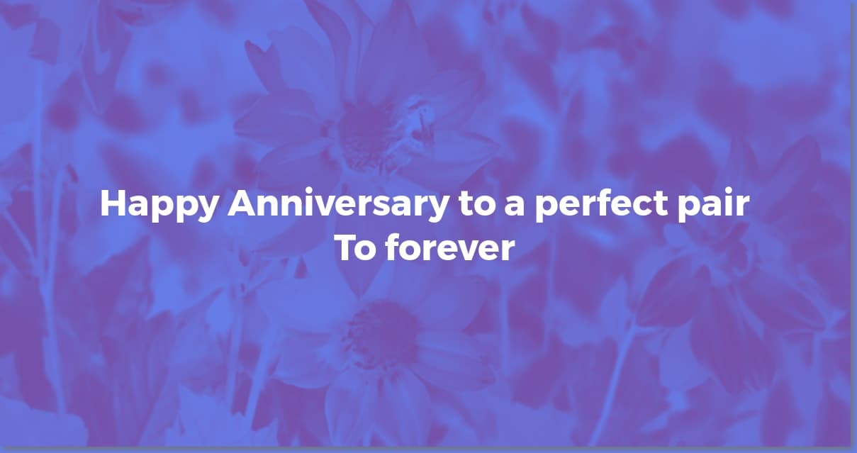 Anniversary Wishes: Brother & Sister-in-Law Edition!